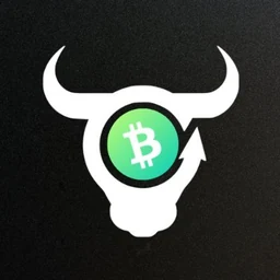 BCH Bull