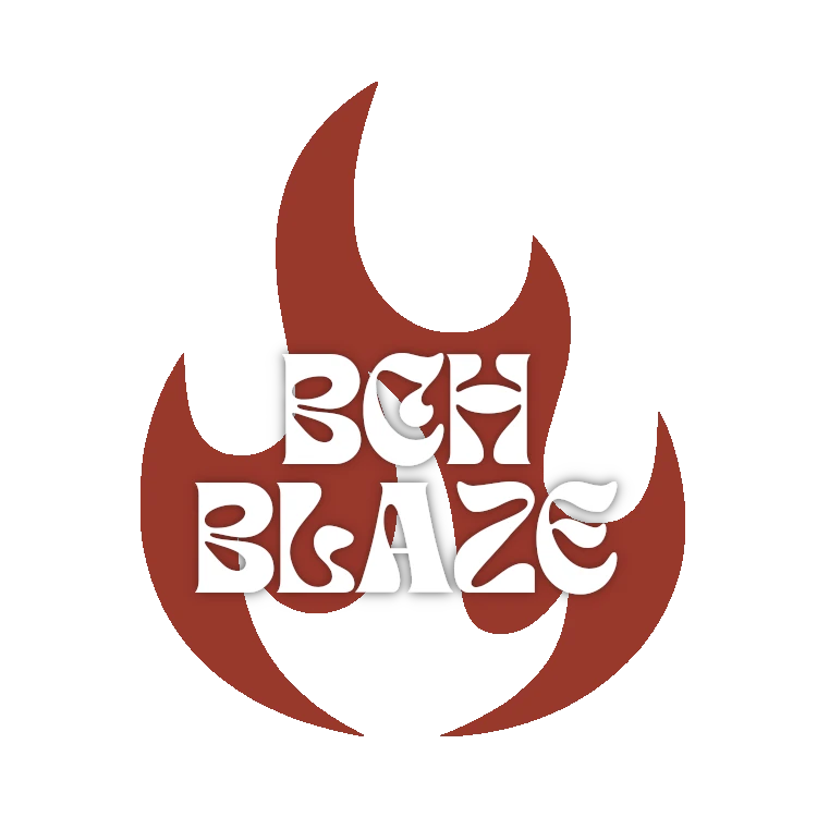 Blaze logo